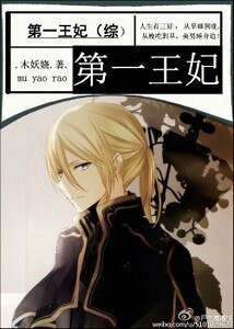 (综漫同人)第一王妃